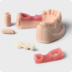 Alternative view of GINGIVA MASK Resin Phrozen3D
