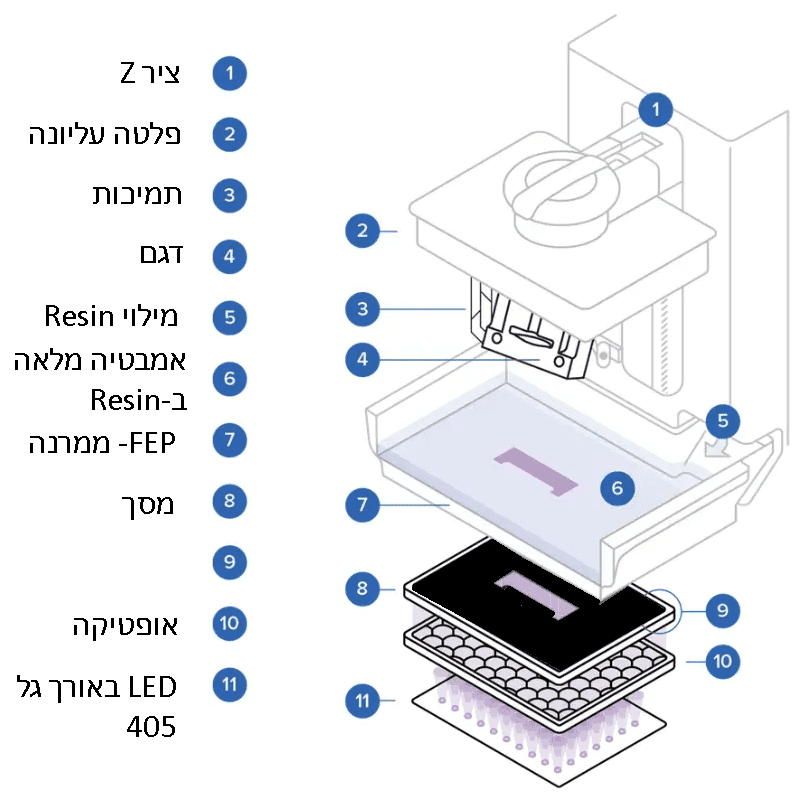 MSLA הסבר